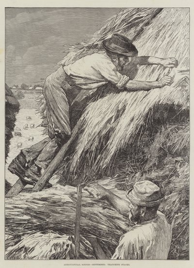 Scènes agricoles, septembre, couverture des meules - Gunning King